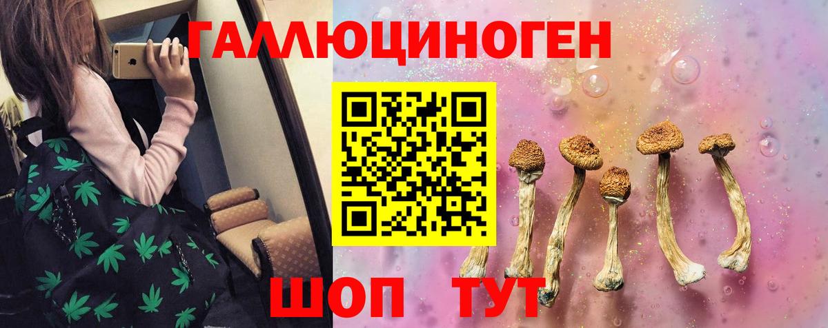 Псилоцибиновые грибы мицелий Апшеронск