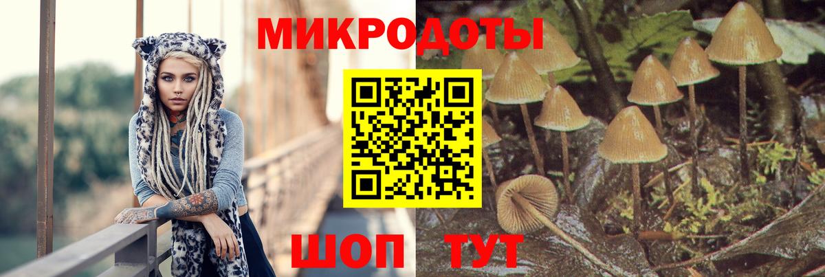Галлюциногенные грибы GOLDEN TEACHER  Галлюциногенные грибы ЛСД  Апшеронск  Вход с VPN 